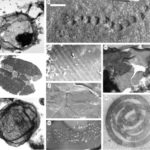 Mesoproterozoic Era