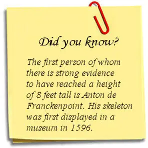 The Tallest Man Fact 4