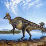 Corythosaurus Facts