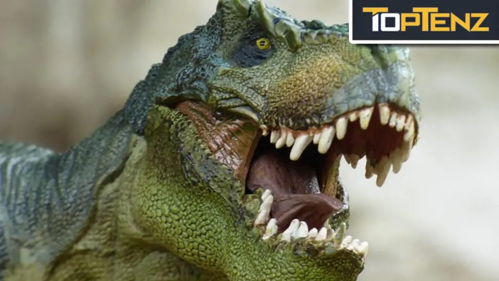 learn about dinosaurs for adults