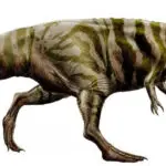 Giganotosaurus Facts - The Giant Southern Lizard