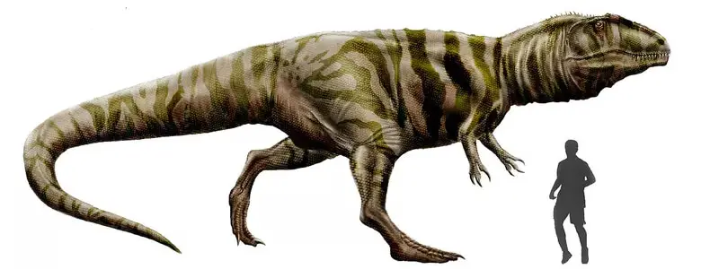 Giganotosaurus 