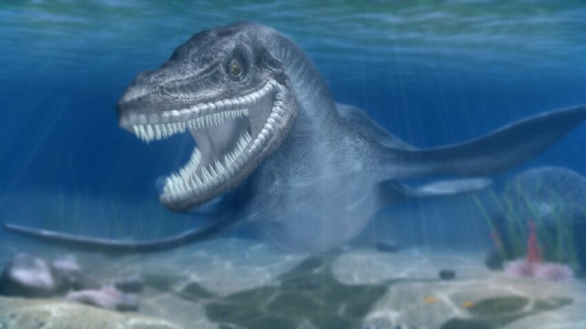 Plesiosaurus