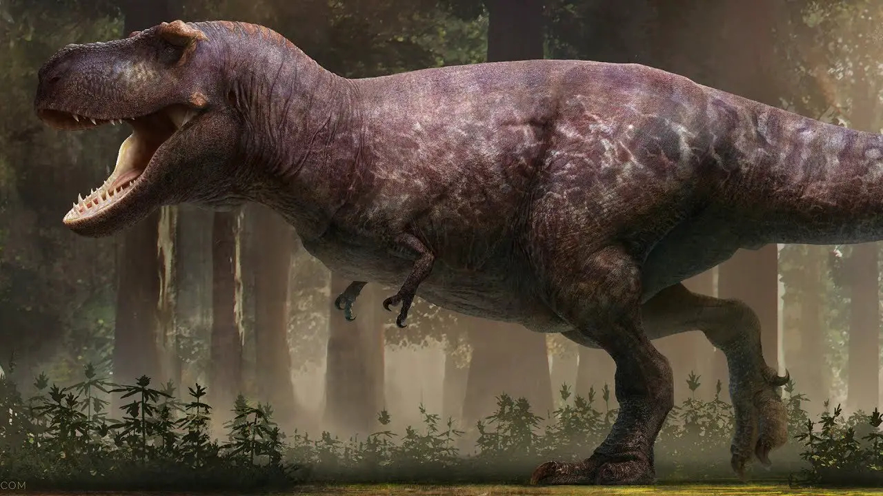 Tyrannosaurus, Tyrannosaurus Rex Facts