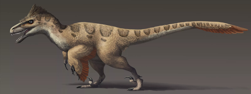 Utahraptor