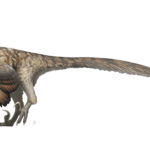 Deinonychus Facts