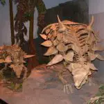Ankylosaurus Facts