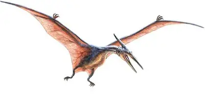 Pteranodon dinosaur