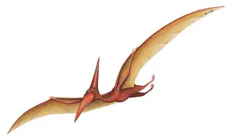 Pterodactylus dinosaurs