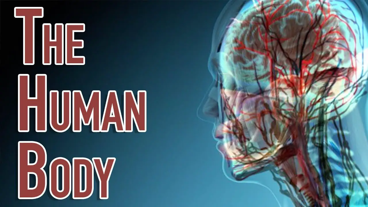 new research about human body