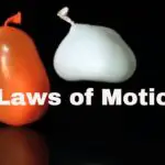 Newton's 3 Laws of Motion