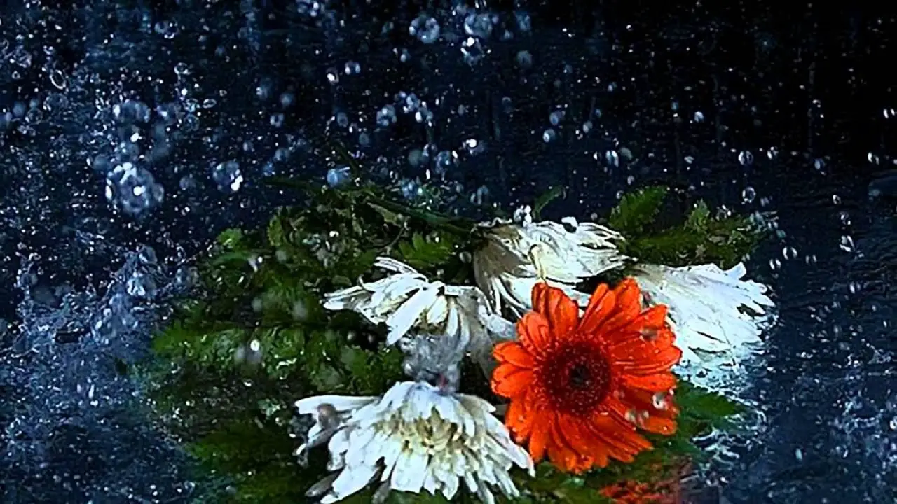 What causes April showers? Science Facts