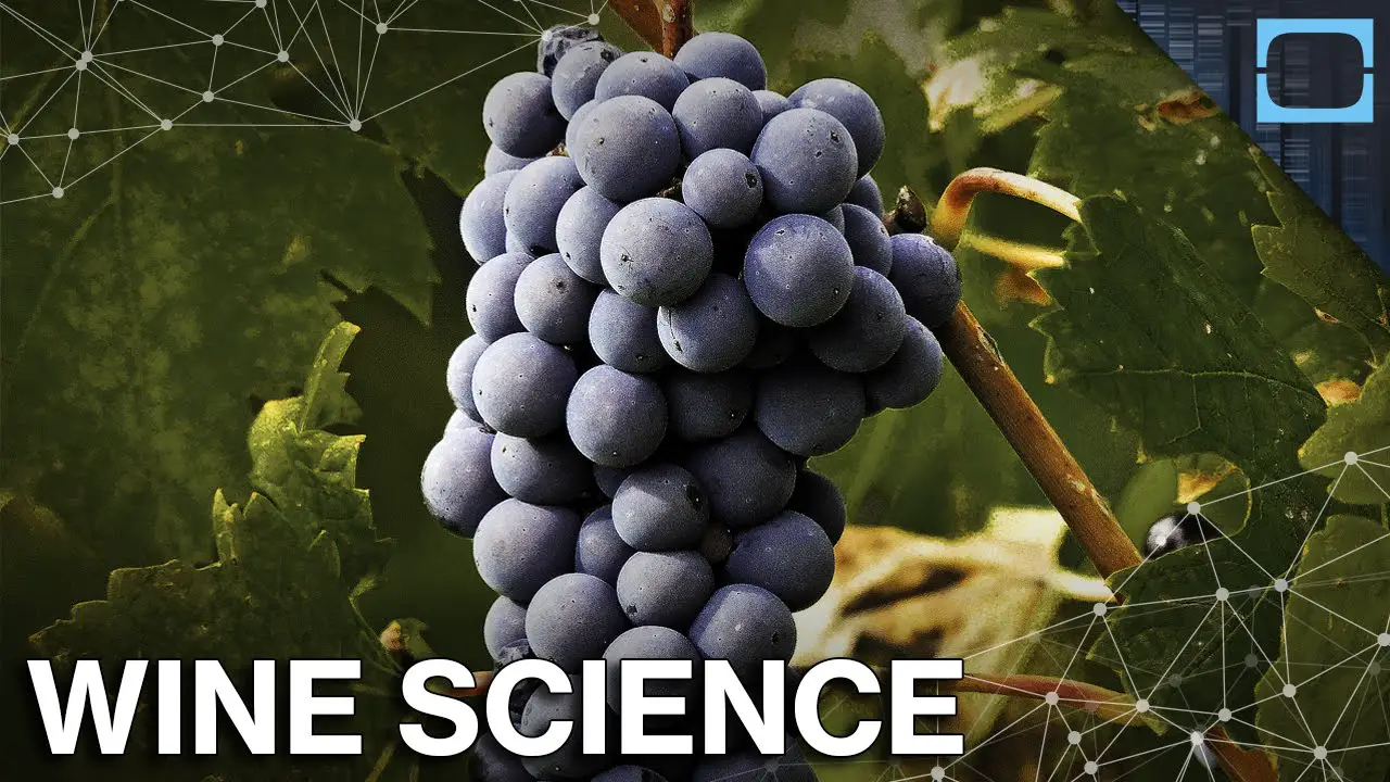 Wine Chemistry Science Facts