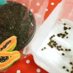 How to Grow Papaya from Seed