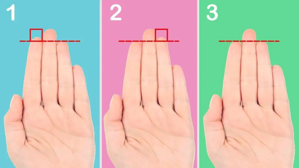 index finger longer than ring finger
