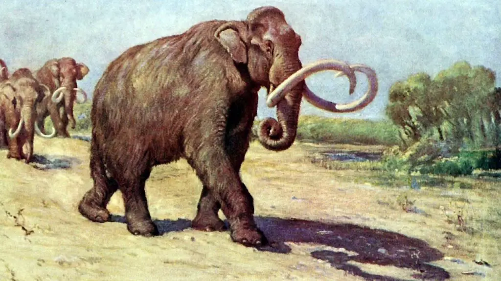 facts about mammoth