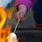 Key to Life Success – Wait for Two Marshmallows?