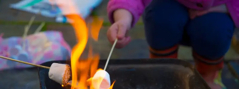 Key to Life Success – Wait for Two Marshmallows?