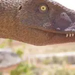 When Did the Velociraptor Become Extinct?