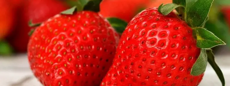 Why is a Strawberry Not a Berry?