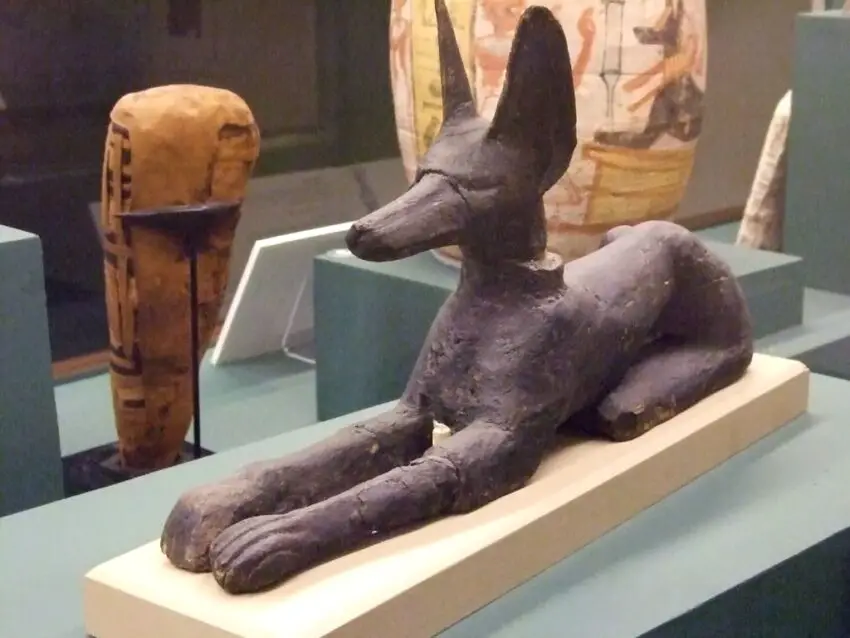 Jackal god of the dead Anubis