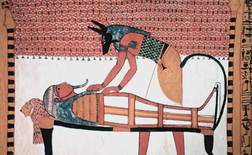 Mafdet: The Forgotten Goddess of Old Kingdom Egypt – StMU History Media