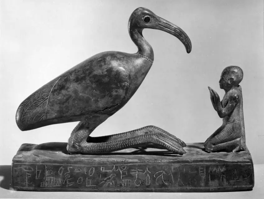 Thoth-ibis and devotee