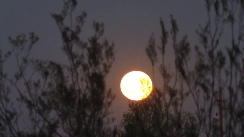 harvest moon Autumnal Equinox