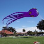 How Kites Work - For Kids