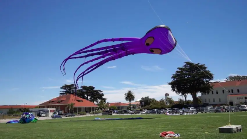 How Kites Work