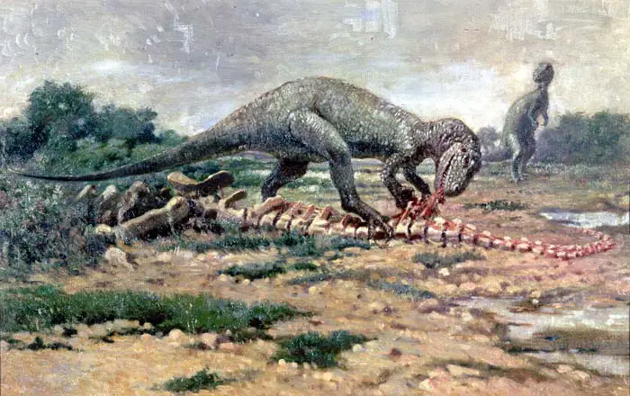 https://www.scifacts.net/wp-content/uploads/2022/04/allosaurus.jpg