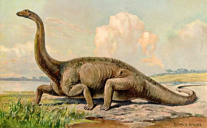 https://www.scifacts.net/wp-content/uploads/2022/04/diplodocus.jpg