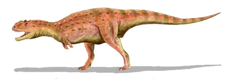 https://www.scifacts.net/wp-content/uploads/2022/04/majungasaurus.jpg