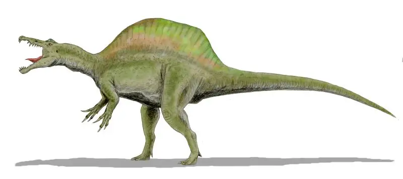 https://www.scifacts.net/wp-content/uploads/2022/04/spinosaurus.png