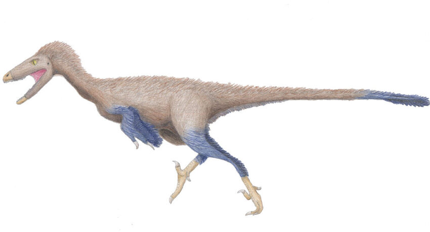 https://www.scifacts.net/wp-content/uploads/2022/04/troodon.jpg