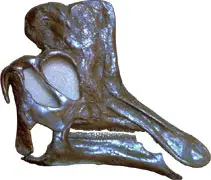 Lambeosaurine skull