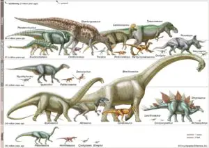 Timeline of Dinosaurs | Science Facts