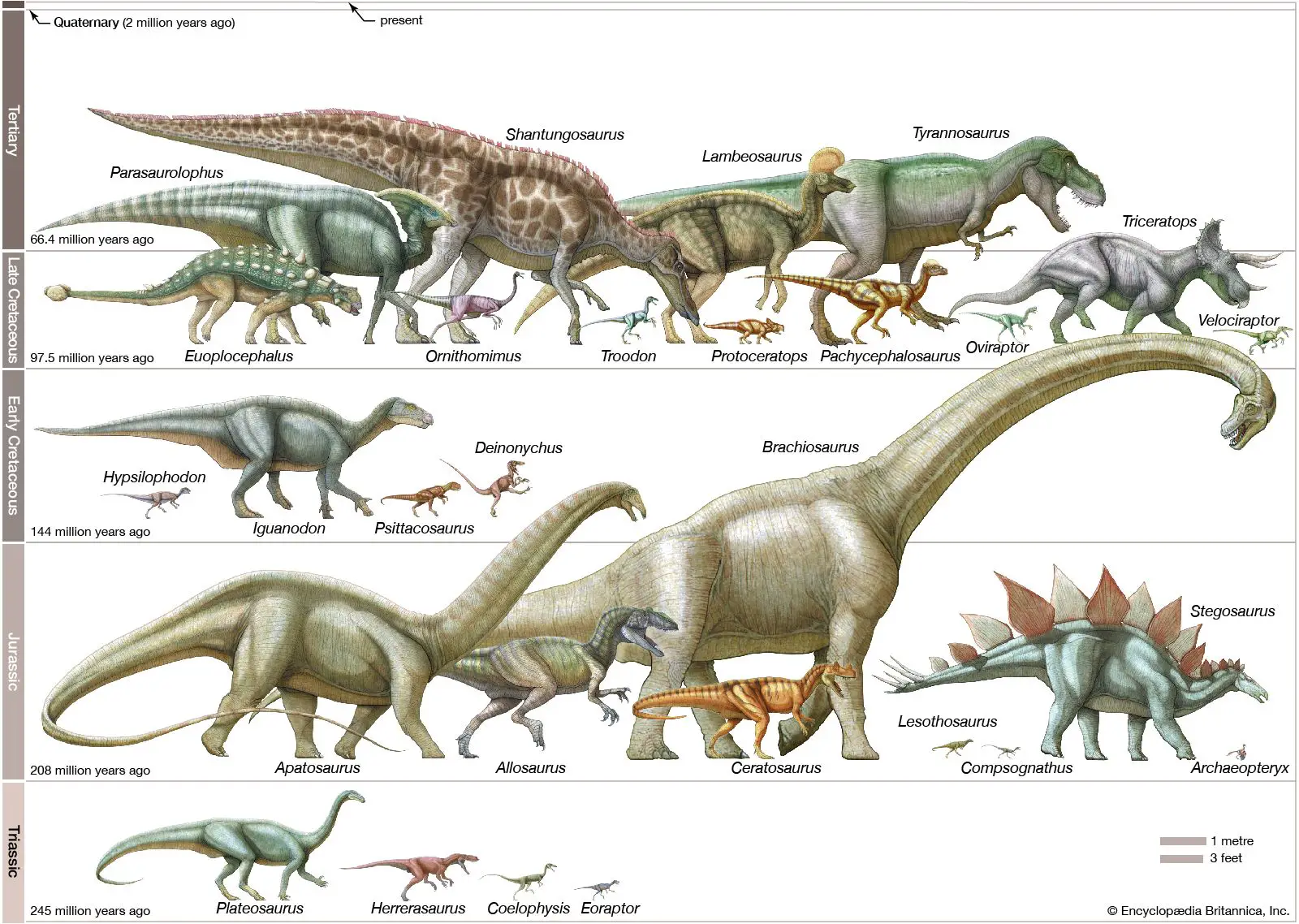 Timeline of  Dinosaurs 