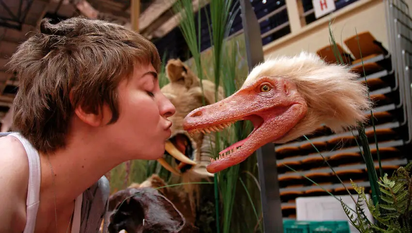 mysi and realistic representation of velociraptor (which had feathers)