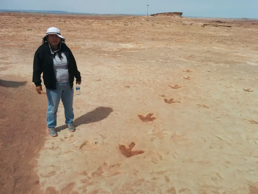 Pam and the velociraptor tracks, Dinosaur Tracks, Tuba City, Arizona, USA