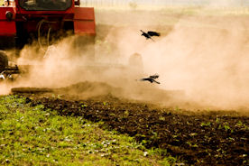 agricultural pollution