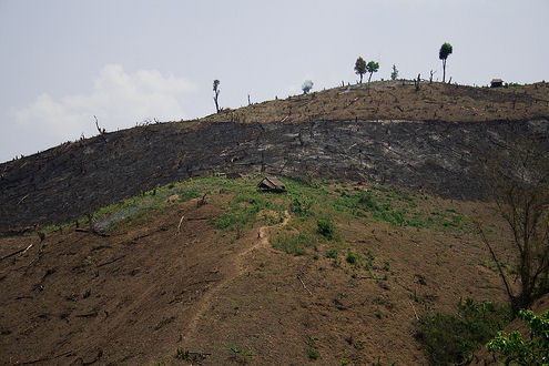 air pollution causes, deforestation burma