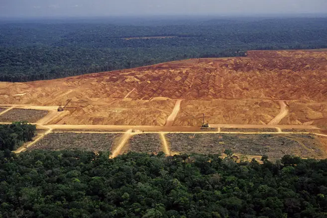 Deforestation Brazil