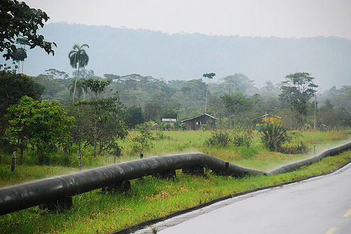 ecuador rainforest