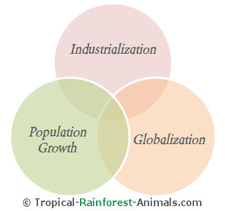 fundamental pollution causes, industrialization, population growth, globalization