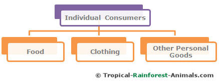 individual consumers, pollution